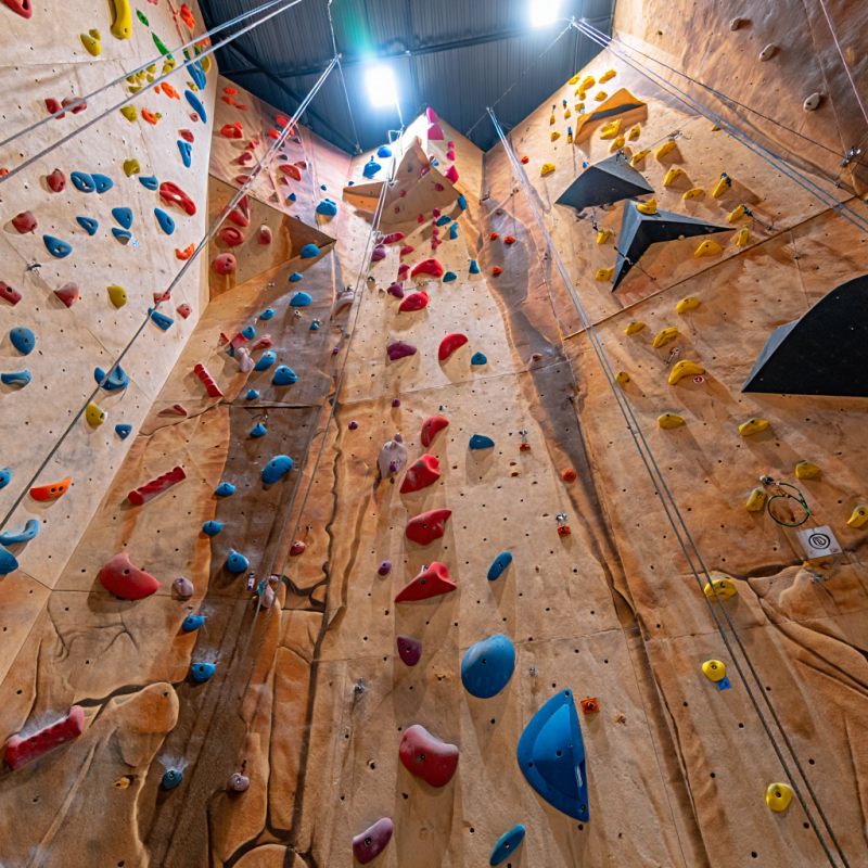 MIZONE Multifunctional Climbin - Kids Outdoor Climbing Wall のレビューと価格