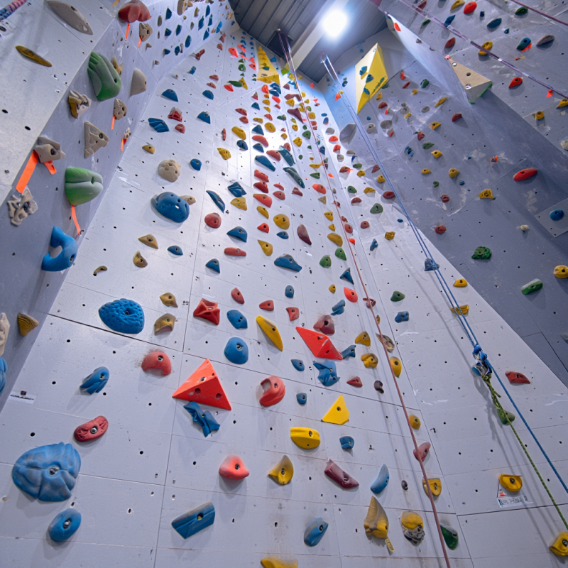 MIZONE Multifunctional Climbin - Kids Outdoor Climbing Wall のレビューと価格