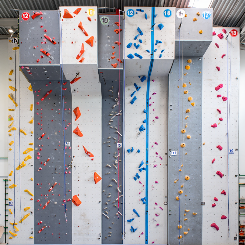 MIZONE Multifunctional Climbin - Kids Outdoor Climbing Wall のレビューと価格