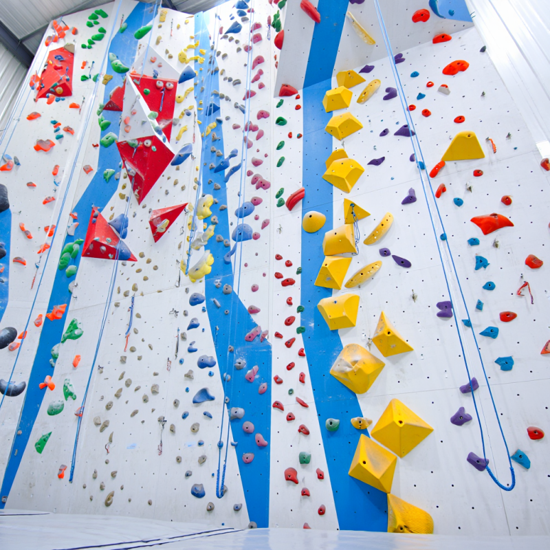 MIZONE Multifunctional Climbin - Kids Outdoor Climbing Wall のレビューと価格