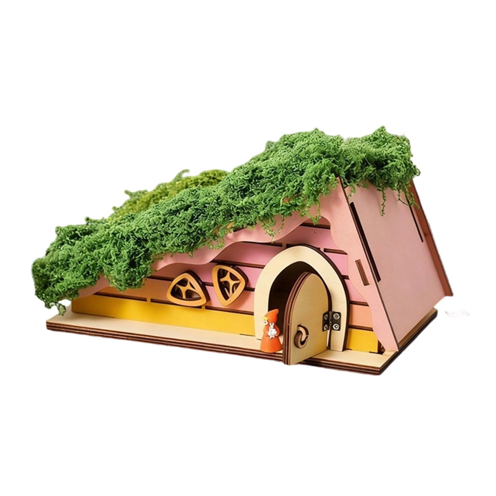 Wooden Fairy House Craft Kit T - Kids Outdoor Set のレビューと価格