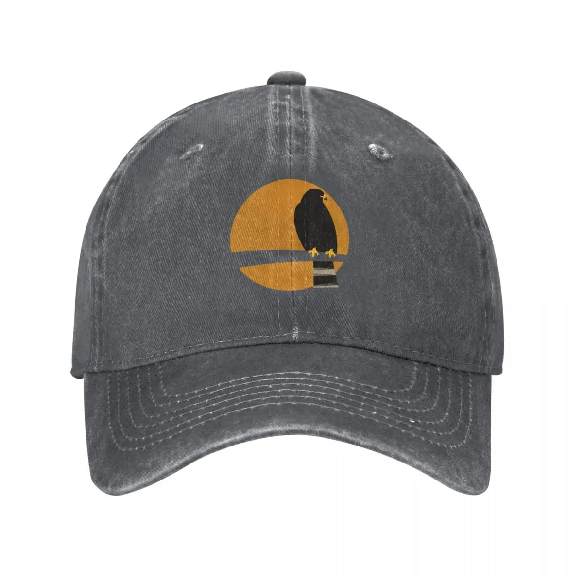 Zone-tailed Hawk (Buteo albono - Kids Outdoor Zone のレビューと価格