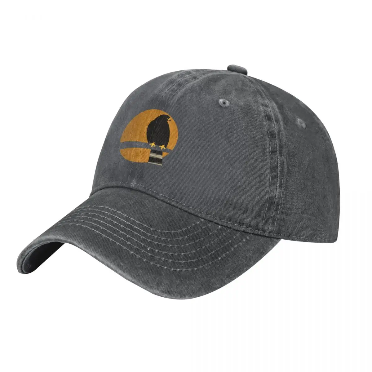 Zone-tailed Hawk (Buteo albono - Kids Outdoor Zone のレビューと価格