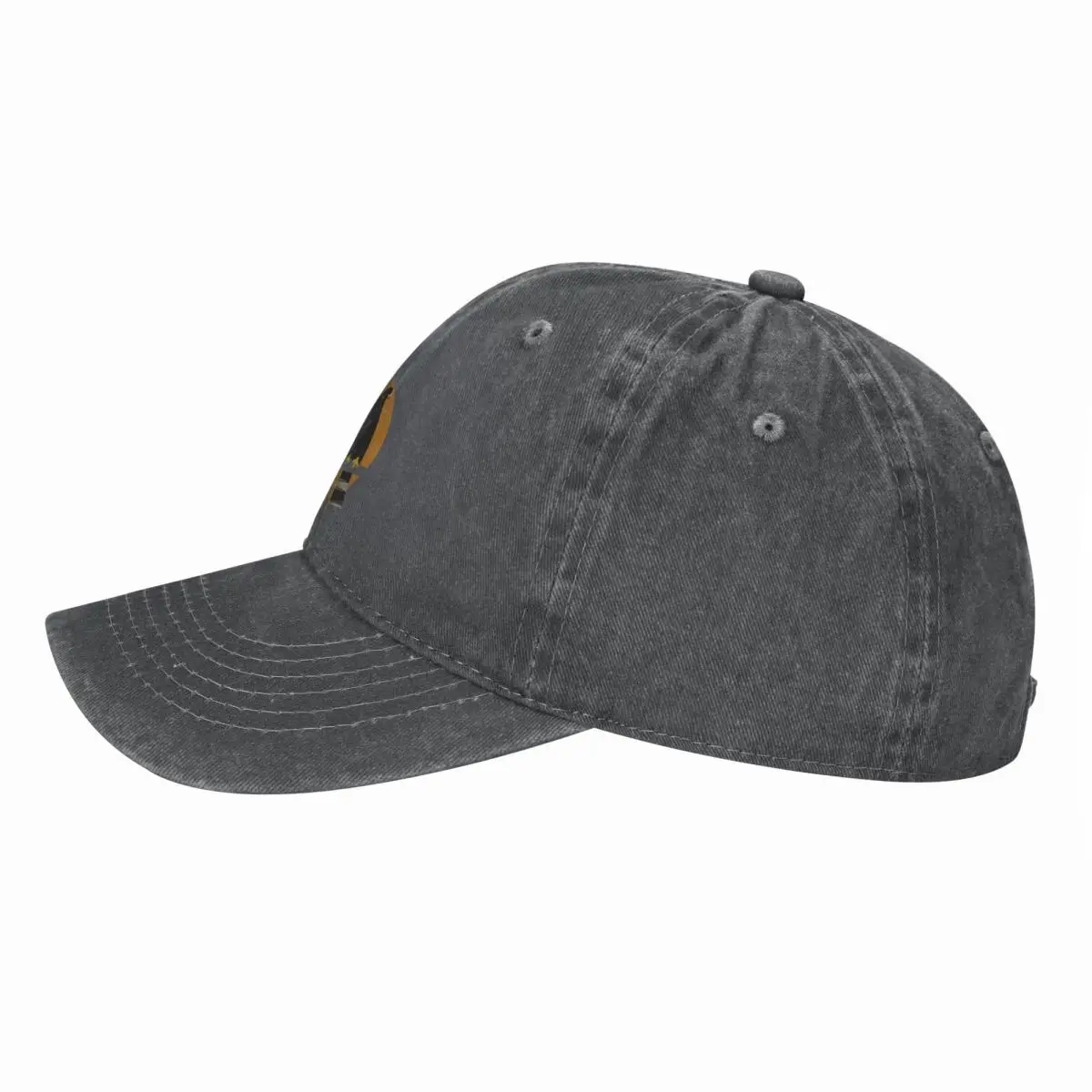 Zone-tailed Hawk (Buteo albono - Kids Outdoor Zone のレビューと価格