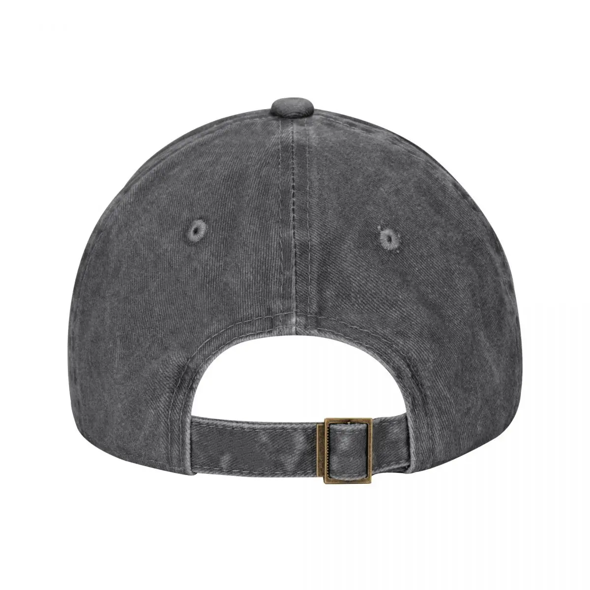 Zone-tailed Hawk (Buteo albono - Kids Outdoor Zone のレビューと価格